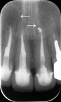 394420643_203.jpg