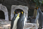 IMG_7149.JPG