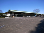 R0011907.JPG